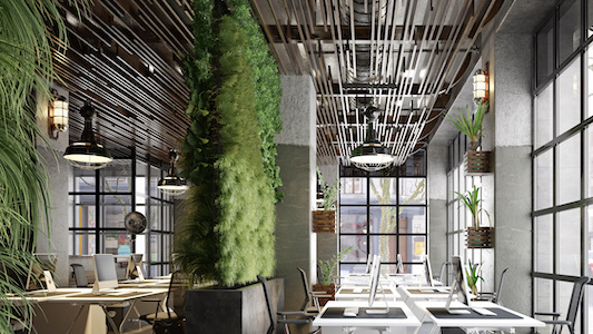 Biophilic office design with plants and natural elements